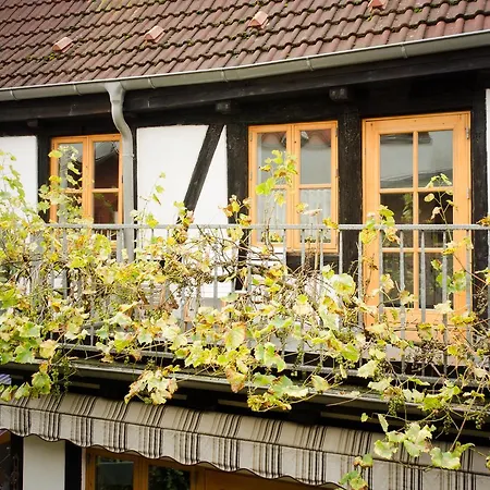 Apart-hotel Kaffetiet 4*